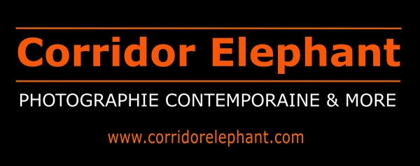 zenitude-profonde-corridor-elephant