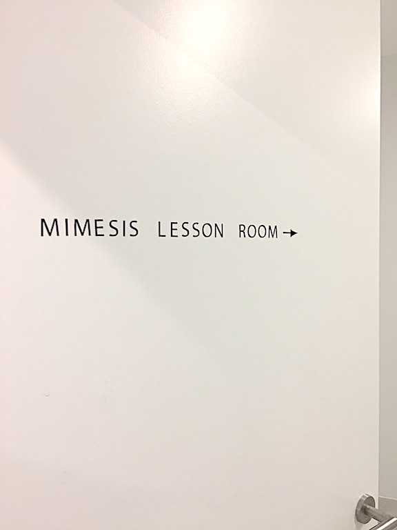 MIMESIS LESSON ROOM